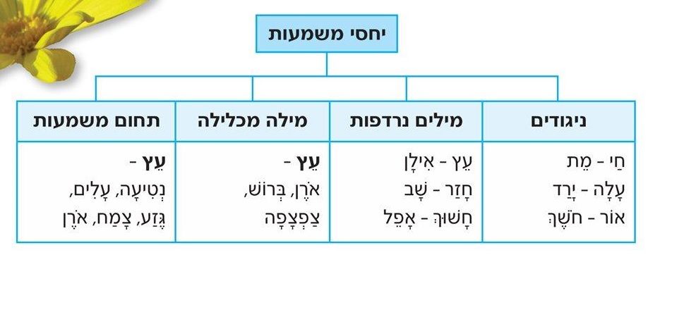 (בספר תמונה של תרשים )